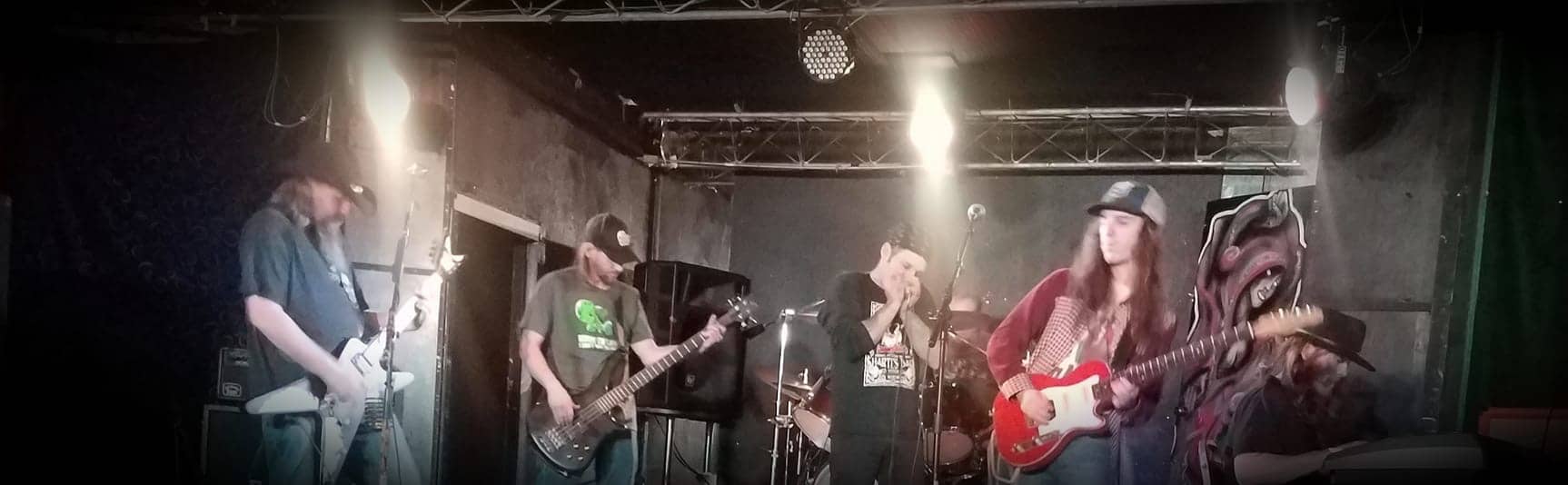 Heavy Bucket Band photo playing in concert